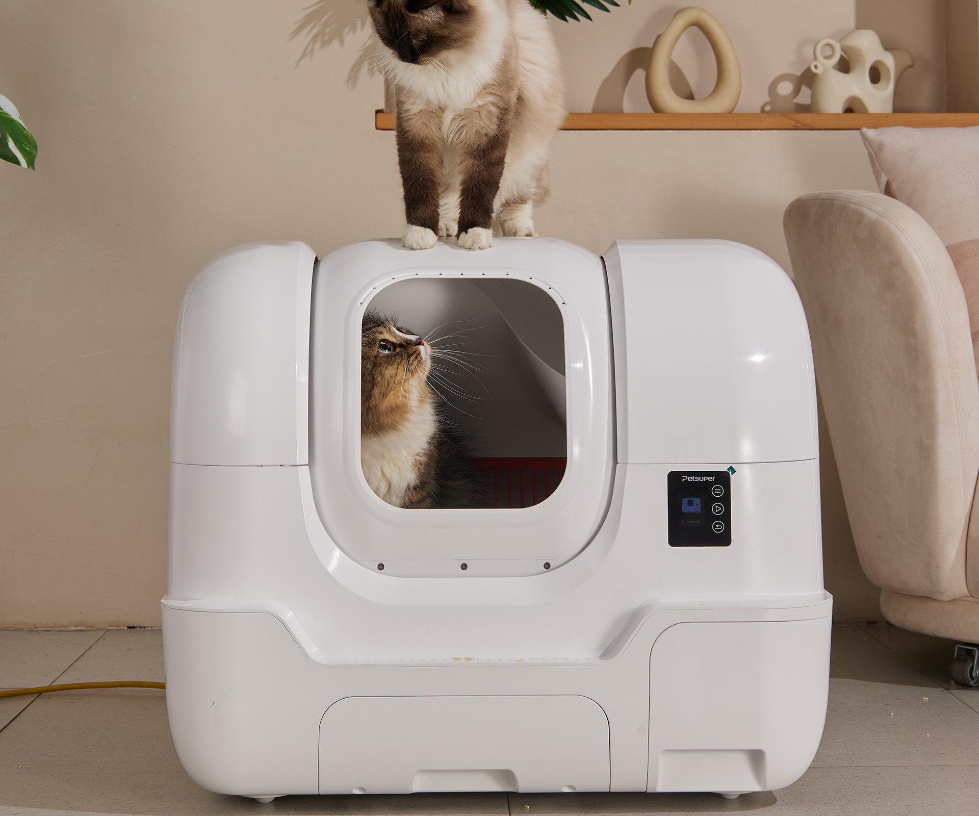 custom cat litter box supplier