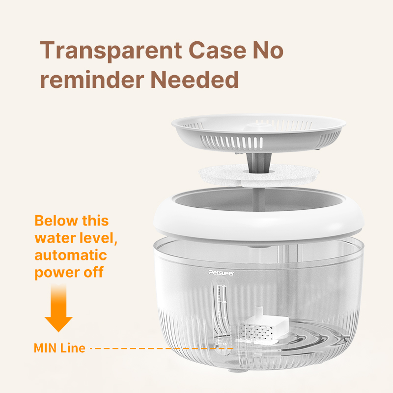 custom pet hydration products