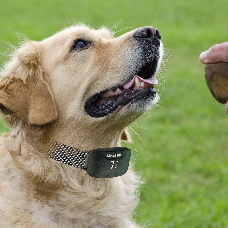 reliable pet training device supplier China