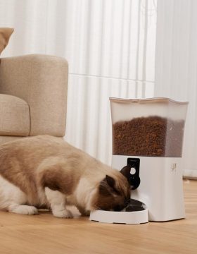customizable smart pet feeder