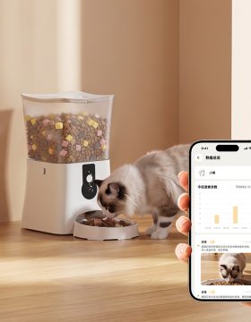 Automatic Pet Feeder