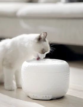Smart Pet Water Fountain