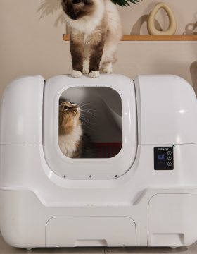custom cat litter box supplier